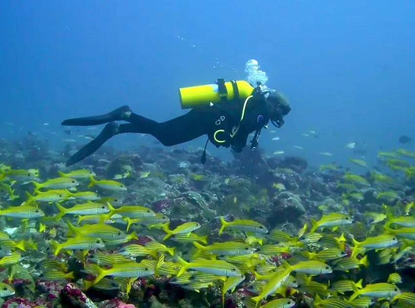 Dive Package