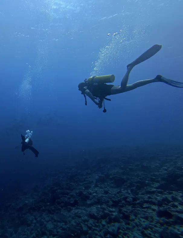 Dive Package