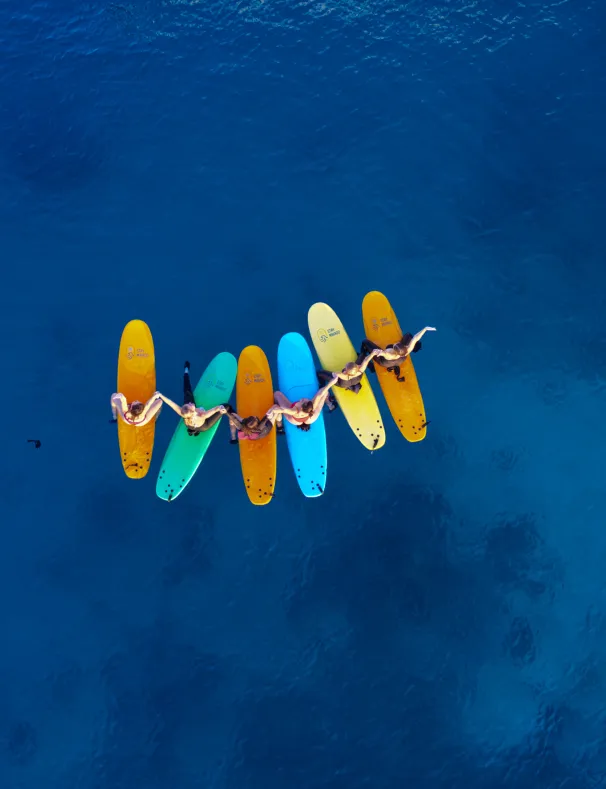 Stay & Learn to Surf