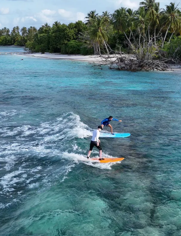 Stay & Learn to Surf