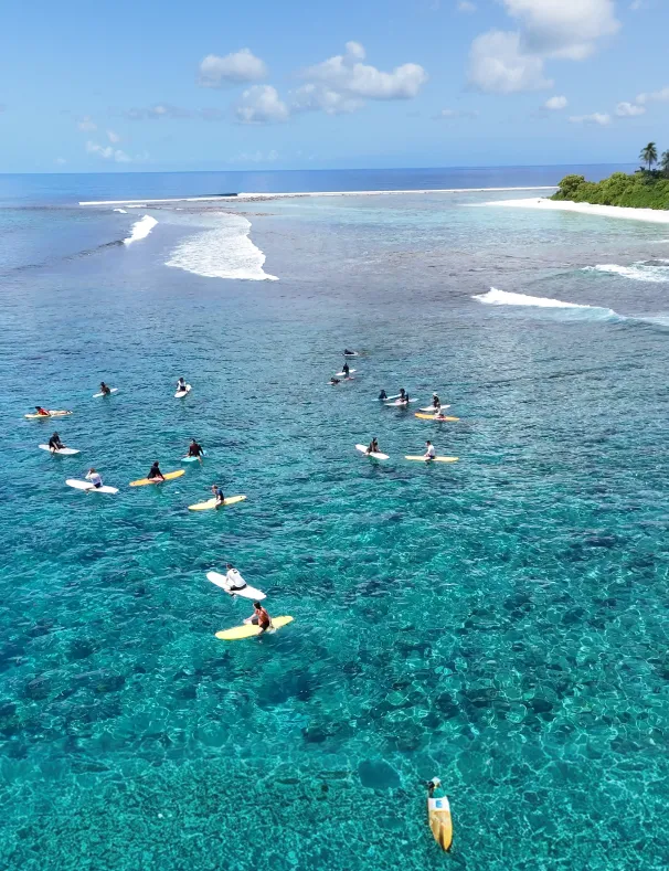 Stay & Learn to Surf