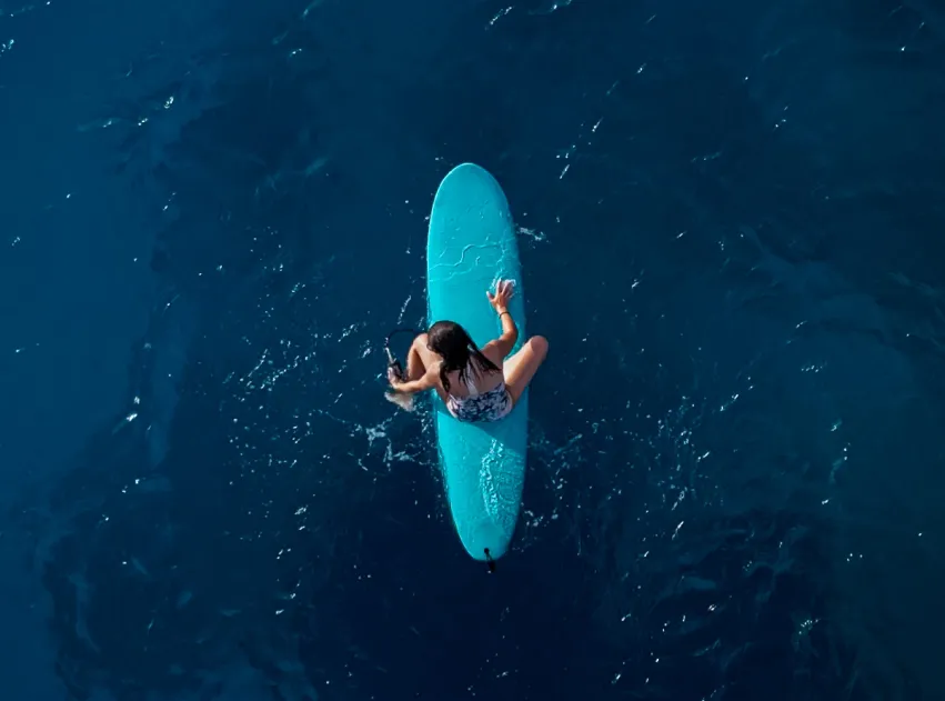 Stay & Surf