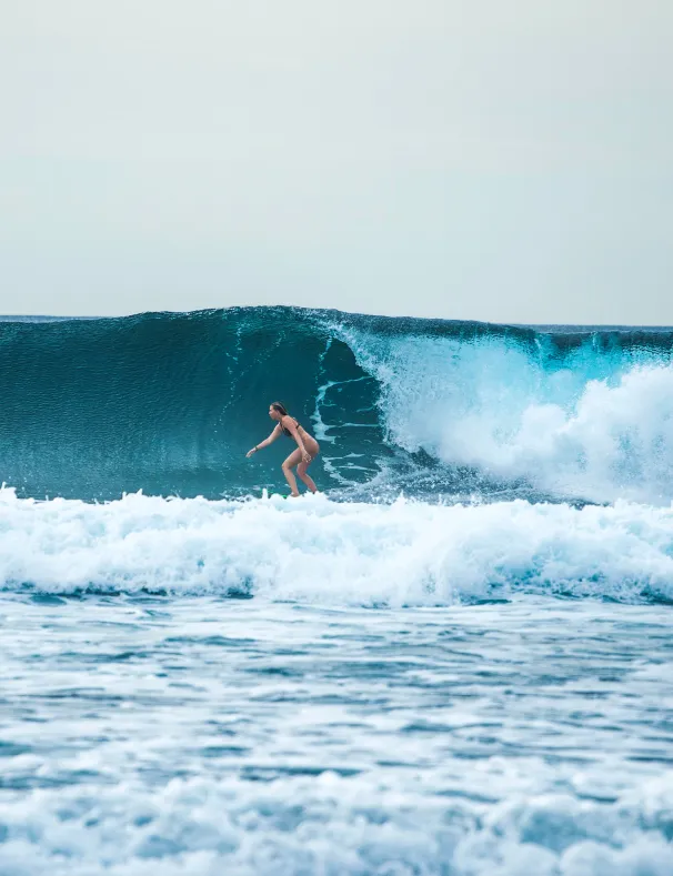 Stay & Surf