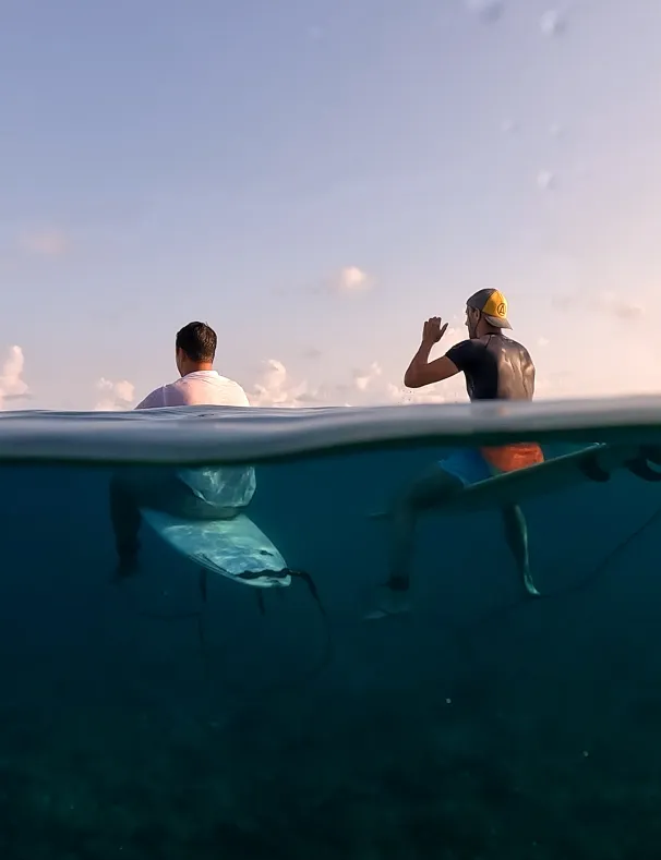 Stay & Surf