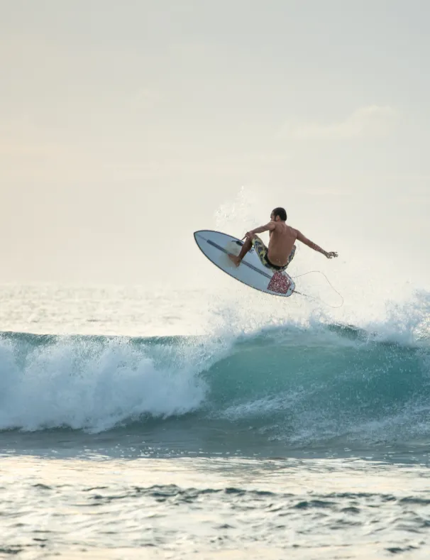 Stay & Surf