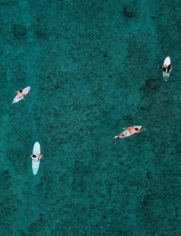 Stay & Surf