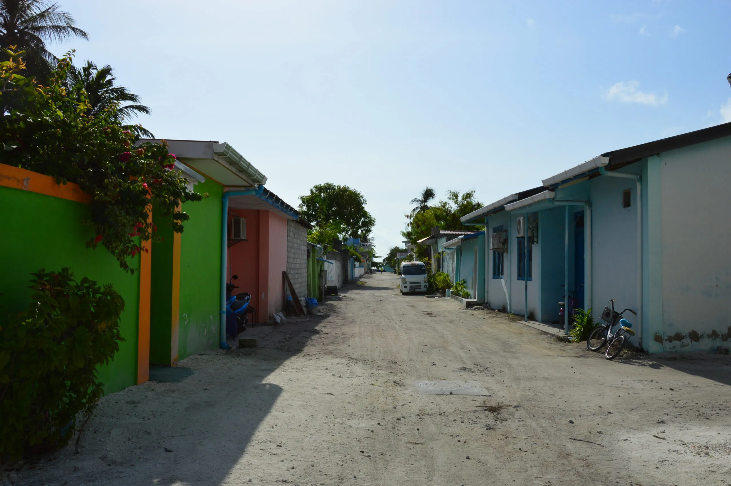 DSC_0186
